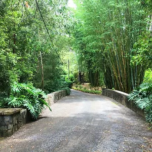  Holiday home Mango Hill Farm Australia