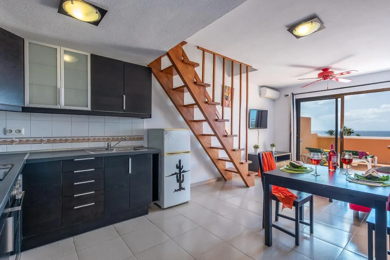 Tenerife South Apartments Playa de las Americas  Spain
